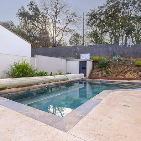 Bougainvillier - Fleur De Lys Laroque-des-Albères