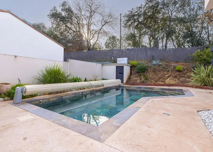 Bougainvillier - Fleur De Lys Laroque-des-Albères